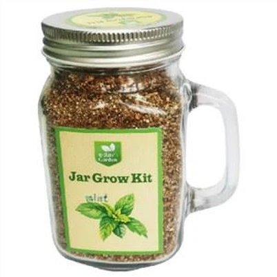 Grow Kit in Mason Glass Jar