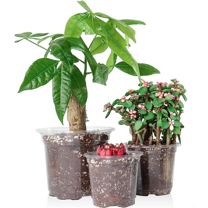 nursery pots with drainage hole