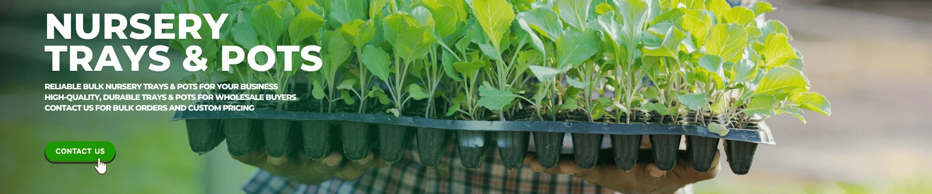 Nursery trays and pots for seed starting and plant propagation.