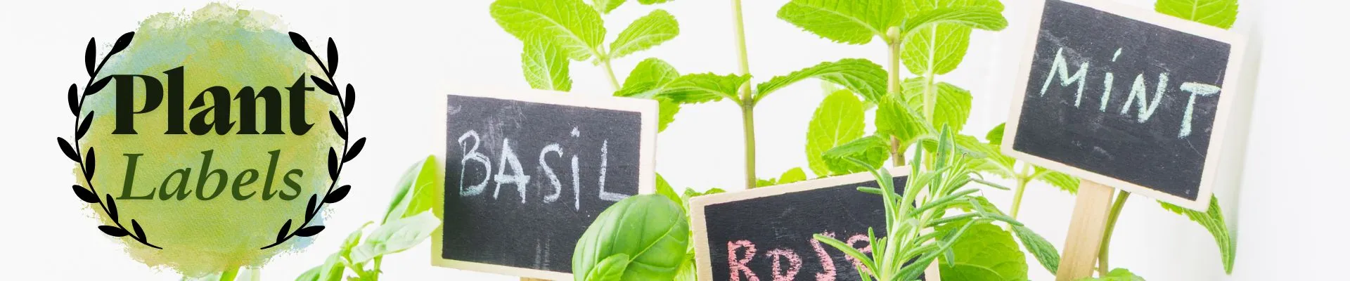 Banner showing a variety of plant labels used to identify herbs, flowers, and garden plants