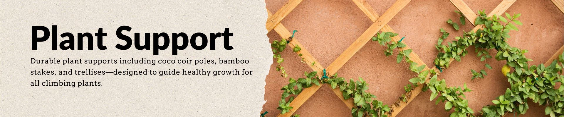 Durable plant supports manufacturer including coco coir poles, bamboo stakes, and trellises