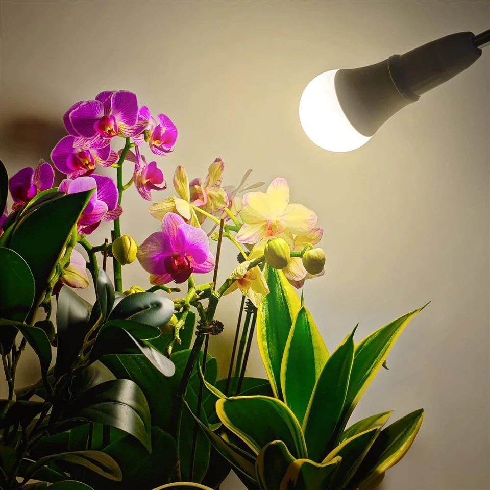 Full-spectrum grow bulb for indoor gardening and plant propagation