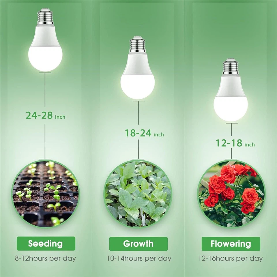 Indoor horticulture grow light bulb enhancing photosynthesis for houseplants
