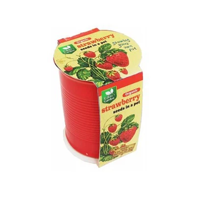 Ceramic Grow Pot 3 Inch