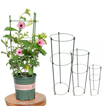 Flower Supports For Gardening